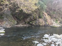 秩父フライフィールド 釣果