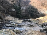 秩父フライフィールド 釣果