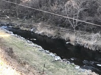 秩父フライフィールド 釣果