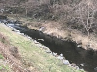 秩父フライフィールド 釣果