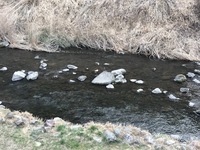秩父フライフィールド 釣果