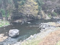 秩父フライフィールド 釣果