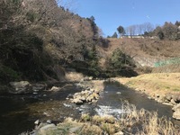 秩父フライフィールド 釣果