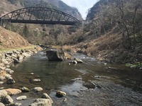 秩父フライフィールド 釣果