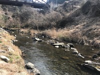 秩父フライフィールド 釣果