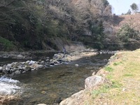 秩父フライフィールド 釣果