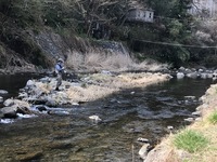 秩父フライフィールド 釣果