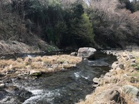 秩父フライフィールド 釣果