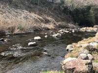 秩父フライフィールド 釣果