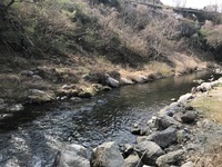 秩父フライフィールド 釣果