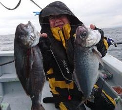 かねい丸 釣果