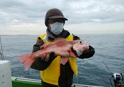 かねい丸 釣果
