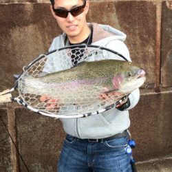 としまえんフィッシングエリア 釣果