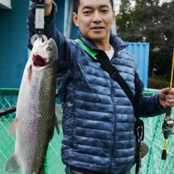 としまえんフィッシングエリア 釣果