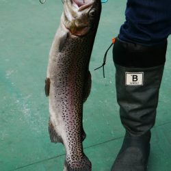 としまえんフィッシングエリア 釣果