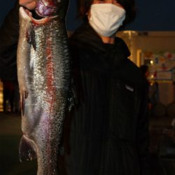 としまえんフィッシングエリア 釣果