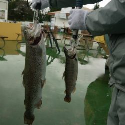 としまえんフィッシングエリア 釣果