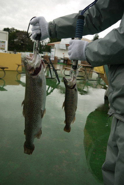 としまえんフィッシングエリア 釣果
