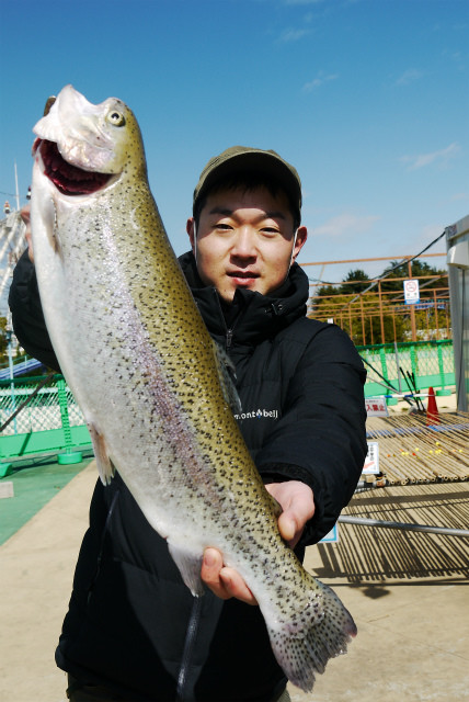 としまえんフィッシングエリア 釣果