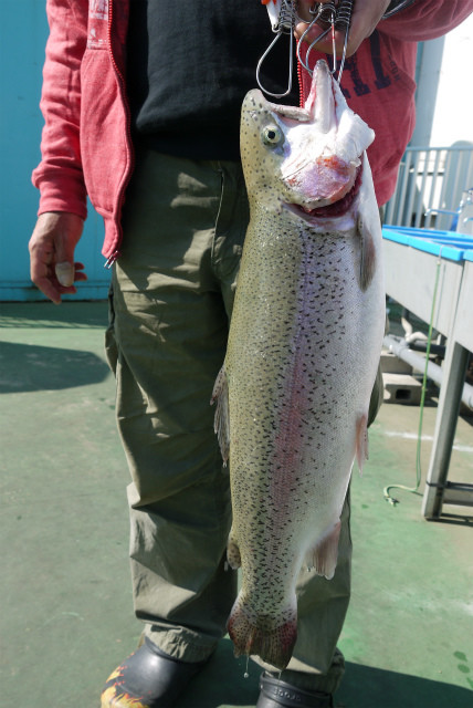 としまえんフィッシングエリア 釣果