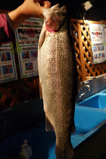 としまえんフィッシングエリア 釣果