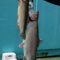 としまえんフィッシングエリア 釣果