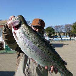 としまえんフィッシングエリア 釣果