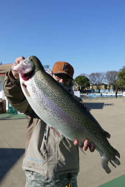 としまえんフィッシングエリア 釣果