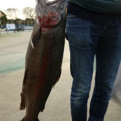 としまえんフィッシングエリア 釣果