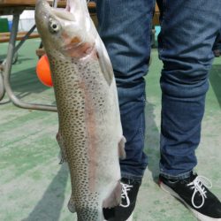 としまえんフィッシングエリア 釣果