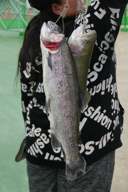 としまえんフィッシングエリア 釣果