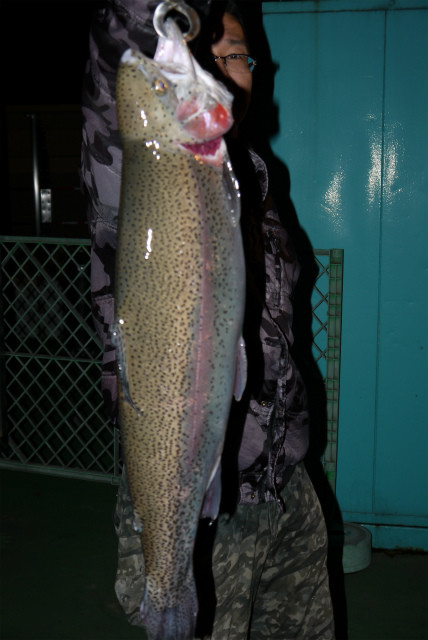 としまえんフィッシングエリア 釣果