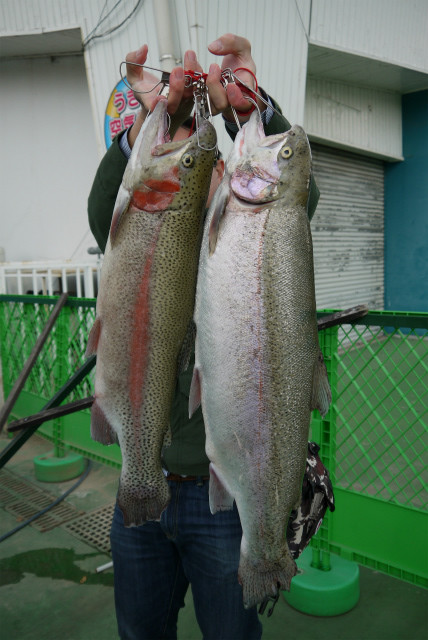 としまえんフィッシングエリア 釣果