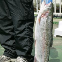 としまえんフィッシングエリア 釣果