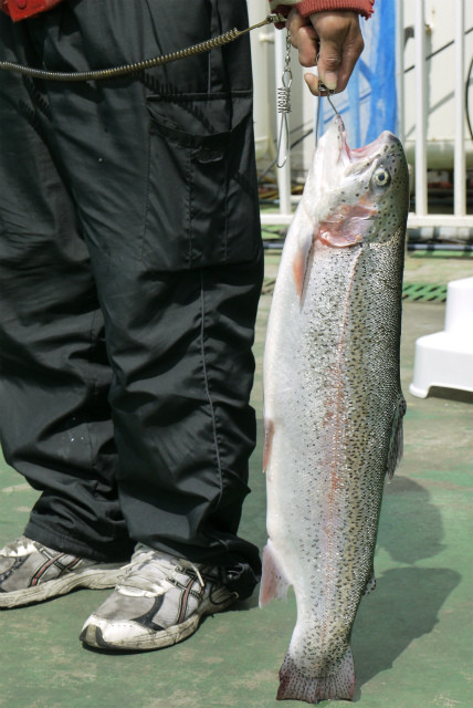 としまえんフィッシングエリア 釣果
