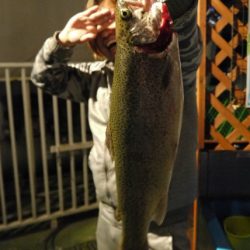 としまえんフィッシングエリア 釣果