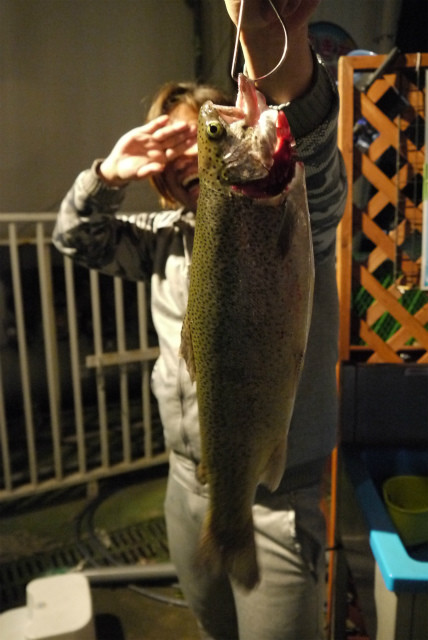 としまえんフィッシングエリア 釣果