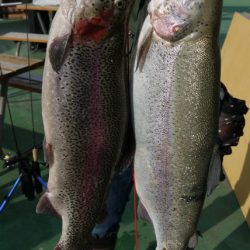 としまえんフィッシングエリア 釣果