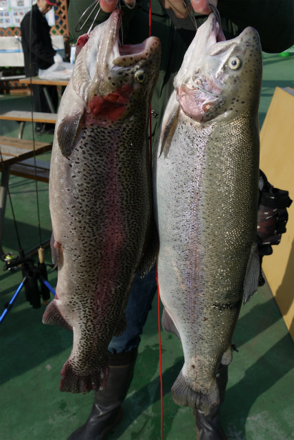 としまえんフィッシングエリア 釣果