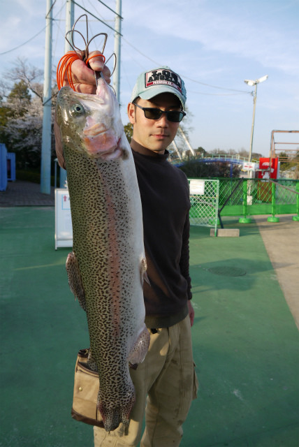 としまえんフィッシングエリア 釣果