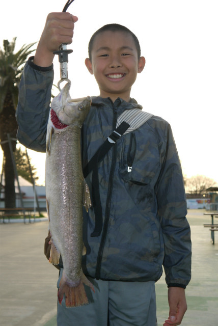 としまえんフィッシングエリア 釣果
