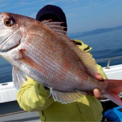 渡船屋たにぐち 釣果