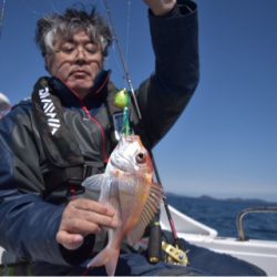 渡船屋たにぐち 釣果