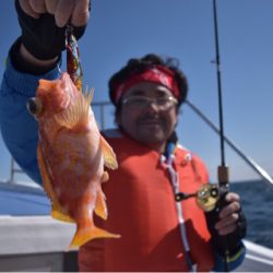 渡船屋たにぐち 釣果