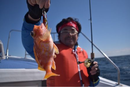渡船屋たにぐち 釣果