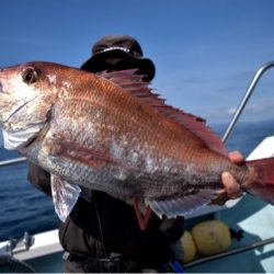 渡船屋たにぐち 釣果