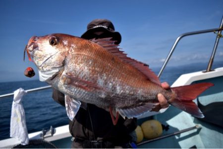 渡船屋たにぐち 釣果