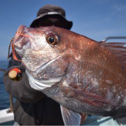 渡船屋たにぐち 釣果