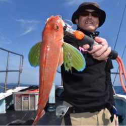 渡船屋たにぐち 釣果