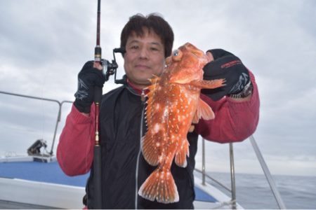 渡船屋たにぐち 釣果